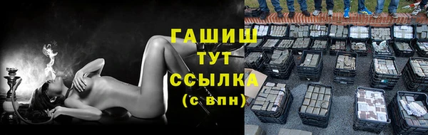 крисы Бородино