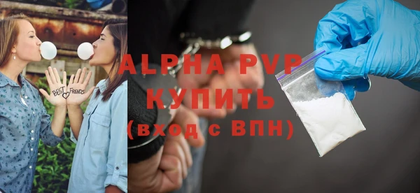 крисы Бородино