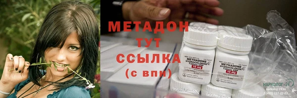 крисы Бородино