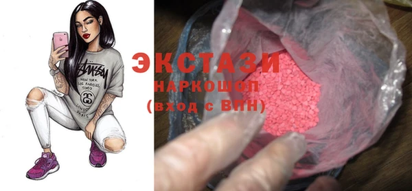 крисы Бородино