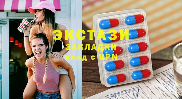 крисы Бородино