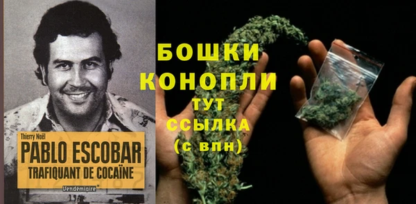 крисы Бородино