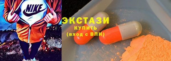 крисы Бородино