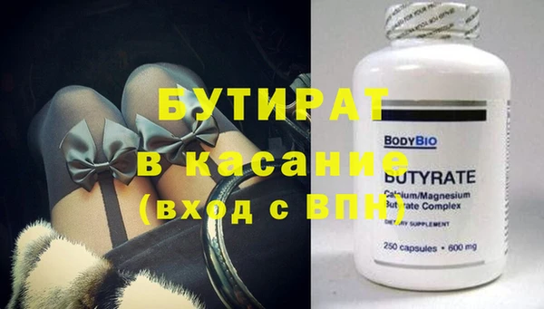 крисы Бородино