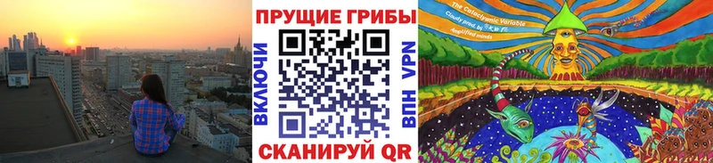 Купить закладки  Советск  Псилоцибиновые грибы мицелий 