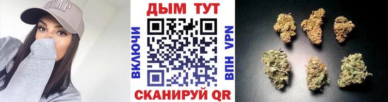 Купить  Советск  Бошки Шишки Amnesia 